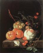 Jan Davidz de Heem still life of fruit painting
